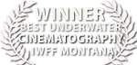 liquid motion best underwater photography award IWFF montana